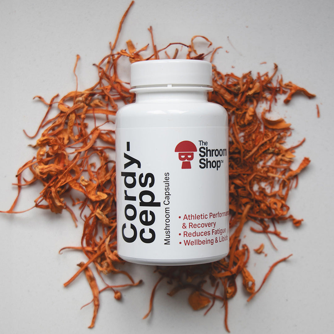 Shroom Capsules - Cordyceps