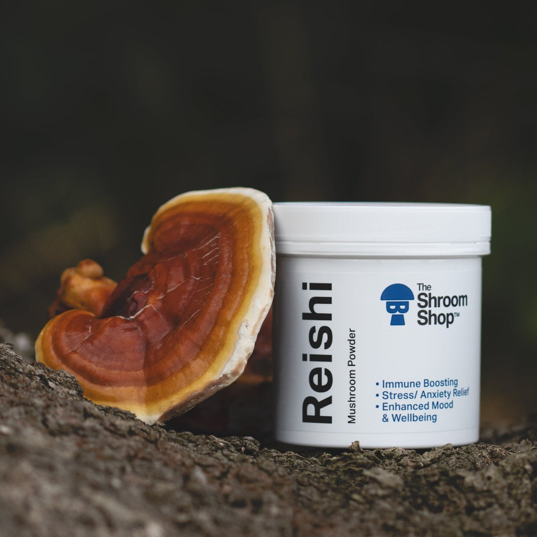 Shroom Powder - Reishi